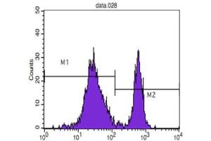 Flow Cytometry (FACS) image for anti-CD4 (CD4) antibody (ABIN1847199) (CD4 antibody)