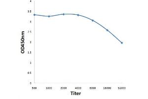Antigen: 0. (RANBP2 antibody)