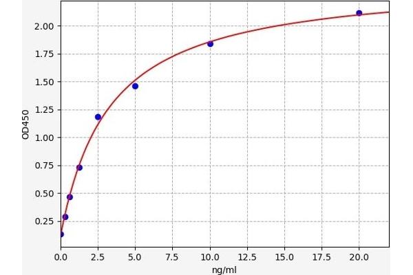 HLA-A ELISA Kit