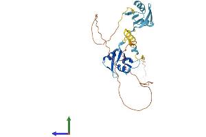 AlphaFold protein structure predicition of Mouse Recombinant Hnrnpdl Protein, UniprotID Q9Z130