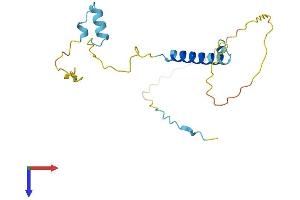 KIFAP3 Protein (AA 1-183) (His tag)