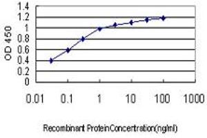 Detection limit for recombinant GST tagged PDE1B is approximately 0. (PDE1B antibody  (AA 437-536))