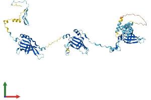 AlphaFold protein structure predicition of Mouse Recombinant Efhc1 Protein, UniprotID Q9D9T8