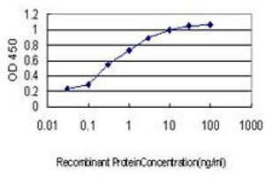 Detection limit for recombinant GST tagged SH3RF2 is approximately 0.