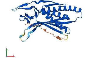 AlphaFold protein structure predicition of Human Recombinant ATG101 Protein, UniprotID Q9BSB4