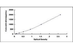 Typical standard curve (BMP4 ELISA Kit)