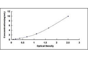 Typical standard curve (Fatty Acid Synthase ELISA Kit)