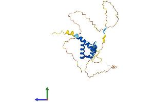 AlphaFold protein structure predicition of Mouse Recombinant Hoxa5 Protein, UniprotID P09021
