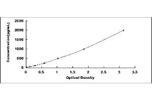 Typical standard curve (EGLN1 ELISA Kit)