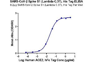 Immobilized SARS-CoV-2 Spike S1 (Lambda C. (SARS-CoV-2 Spike S1 Protein (C.37 - Lambda) (His tag))