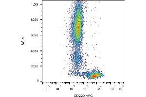 Flow cytometry analysis (surface staining) of human peripheral blood cells with anti-human CD229 (HLy9. (LY9 antibody  (APC))