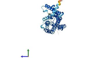 AlphaFold protein structure predicition of Human Recombinant OR2T5 Protein, UniprotID Q6IEZ7 (OR2T5 Protein (AA 1-315) (His tag))