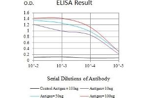 Black line: Control Antigen (100 ng),Purple line: Antigen (10 ng), Blue line: Antigen (50 ng), Red line:Antigen (100 ng) (COL1A1 antibody  (AA 1219-1464))