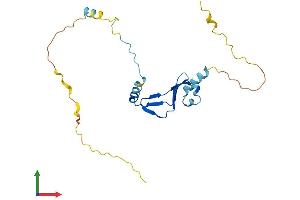 AlphaFold protein structure predicition of Mouse Recombinant Btf3 Protein, UniprotID Q64152 (BTF3 Protein (AA 1-204) (His tag))