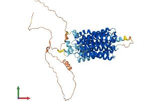 AlphaFold protein structure predicition of Mouse Recombinant Flvcr1 Protein, UniprotID B2RXV4 (FLVCR Protein (AA 1-560) (His tag))