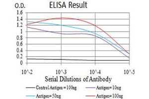 Black line: Control Antigen (100 ng), Purple line: Antigen(10 ng), Blue line: Antigen (50 ng), Red line: Antigen (100 ng), (ATF3 antibody  (AA 1-181))