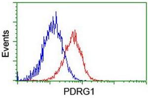 Flow cytometric Analysis of Hela cells, using anti-PDRG1 antibody (ABIN2455631), (Red), compared to a nonspecific negative control antibody, (Blue). (PDRG1 antibody)