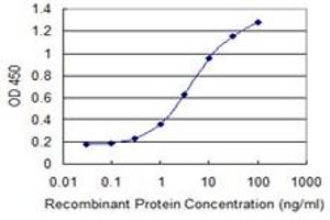 Detection limit for recombinant GST tagged MCCC2 is 0. (MCCC2 antibody  (AA 456-563))