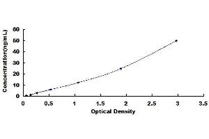 Typical standard curve (CXCR2 ELISA Kit)