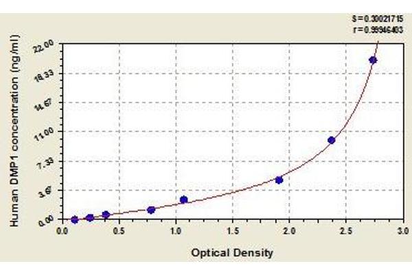 DMP1 ELISA Kit