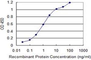 Detection limit for recombinant GST tagged KIT is 0. (KIT antibody  (AA 41-140))