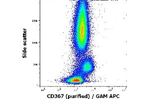 Flow cytometry surface staining pattern of human peripheral whole blood stained using anti-human CD367 (9E8) purified antibody (concentration in sample 0,6 μg/mL, GAM APC). (CLEC4A antibody)