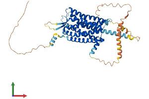 AlphaFold protein structure predicition of Mouse Recombinant Hcrtr2 Protein, UniprotID P58308