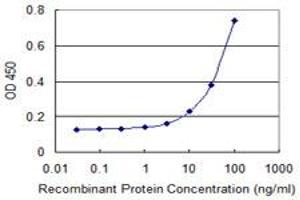 Detection limit for recombinant GST tagged SLC22A6 is 3 ng/ml as a capture antibody. (SLC22A6 antibody  (AA 451-550))