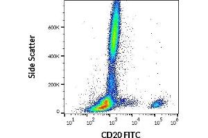 Flow cytometry surface staining pattern of human peripheral whole blood stained using anti-human CD20 (LT20) FITC antibody (20 μL reagent / 100 μL of peripheral whole blood).