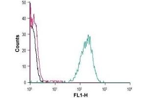 Cell surface detection of FFAR4 in live intact human THP-1 monocytic leukemia cells: (black line) Cells. (O3FAR1 antibody  (Extracellular, N-Term))
