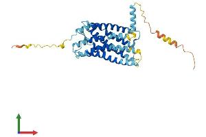 AlphaFold protein structure predicition of Mouse Recombinant Cx3cr1 Protein, UniprotID Q9Z0D9 (CX3CR1 Protein (AA 1-354) (His tag))