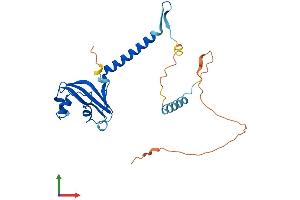 AlphaFold protein structure predicition of Mouse Recombinant Med6 Protein, UniprotID Q921D4 (MED6 Protein (AA 1-246) (His tag))