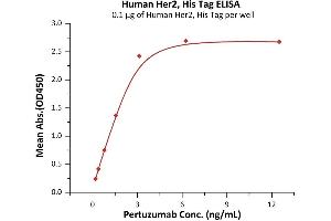 ELISA image for Receptor tyrosine-protein kinase erbB-2 (ErbB2/Her2) (AA 23-652) (Active) protein (His tag) (ABIN2181214)