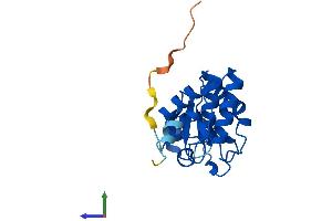 AlphaFold protein structure predicition of Mouse Recombinant Dusp18 Protein, UniprotID Q8VE01
