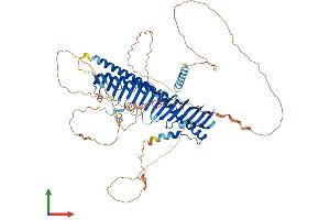 AlphaFold protein structure predicition of Human Recombinant JPH1 Protein, UniprotID Q9HDC5 (Junctophilin 1 Protein (JPH1) (AA 1-661) (His tag))