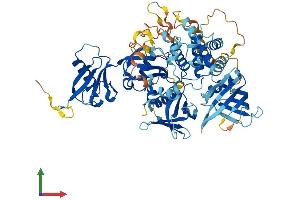 Protein Structure (PS) image for Fermitin Family Member 2 (FERMT2) (AA 1-680) protein (His tag) (ABIN7564590)