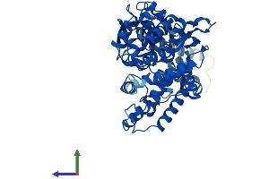 AlphaFold protein structure predicition of Mouse Recombinant Cyp2d9 Protein, UniprotID P11714 (Cyp2d9 Protein (AA 1-504) (His tag))