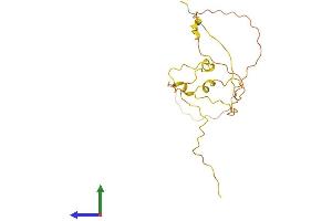AlphaFold protein structure predicition of Human Recombinant SPATA3 Protein, UniprotID Q8NHX4 (SPATA3 Protein (AA 1-192) (His tag))