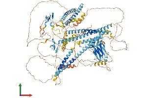 Protein Structure (PS) image for WW and C2 Domain Containing 1 (WWC1) (AA 1-1104) protein (His tag) (ABIN7563851)