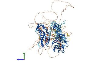 Protein Structure (PS) image for rho Guanine Nucleotide Exchange Factor (GEF) 10 (ARHGEF10) (AA 1-1369) protein (His tag) (ABIN7552239)