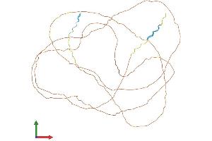 AlphaFold protein structure predicition of Mouse Recombinant Loricrin Protein, UniprotID P18165 (LOR Protein (AA 1-486) (His tag))