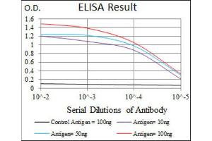ELISA image for anti-Mitogen-Activated Protein Kinase 8 (MAPK8) antibody (ABIN1845583) (JNK antibody)