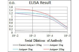 ELISA image for anti-Mitogen-Activated Protein Kinase 8 (MAPK8) antibody (ABIN1845583)
