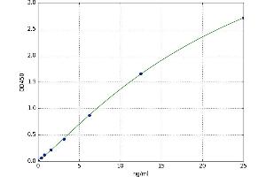 A typical standard curve