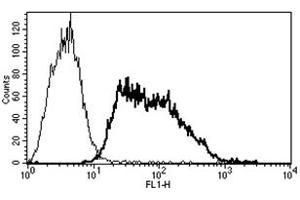 Flow Cytometry (FACS) image for anti-Selectin E (SELE) antibody (ABIN1106491) (Selectin E/CD62e antibody)