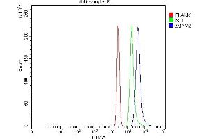 Flow Cytometry analysis of HL-60 cells using anti-RAMP/ZMYM2 antibody (ABIN7602071).