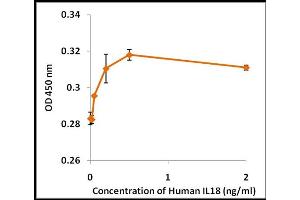 Activity Assay (AcA) image for Interleukin 18 (IL18) (Active) protein (ABIN5509343) (IL-18 Protein)