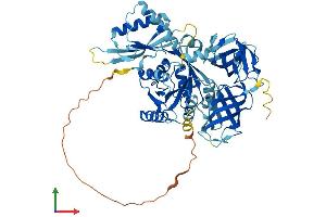 AlphaFold protein structure predicition of Human Recombinant GTPBP2 Protein, UniprotID Q9BX10