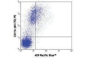 Flow Cytometry (FACS) image for anti-Vascular Cell Adhesion Molecule 1 (VCAM1) antibody (Pacific Blue) (ABIN2662190) (VCAM1 antibody  (Pacific Blue))