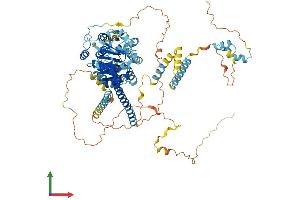 AlphaFold protein structure predicition of Human Recombinant DDX27 Protein, UniprotID Q96GQ7 (DDX27 Protein (AA 1-796) (His tag))